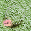 Confetti - Mint Sequin Dots